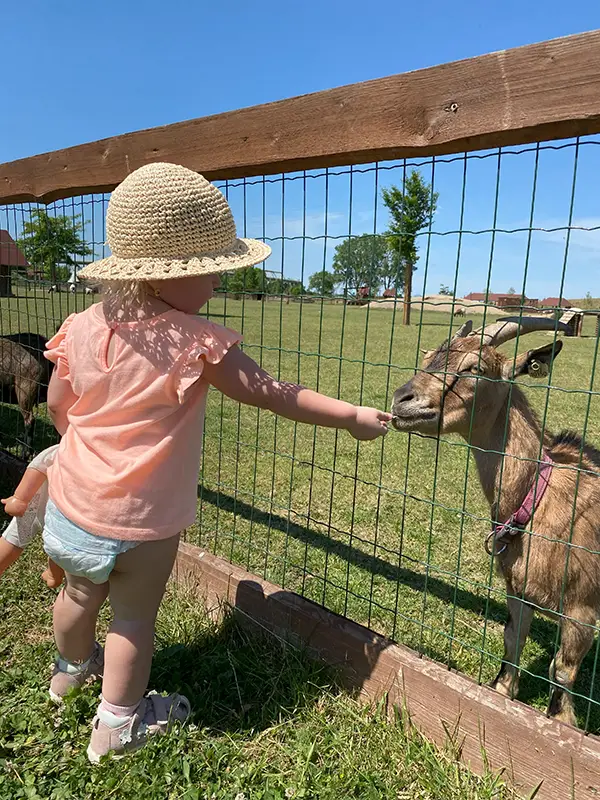 Výlet do Zooparku Zelčín
